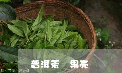 普洱茶 果壳/2023042811201